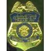 UNITED STATES DEPARTMENT OF THE TREASURY CUSTOMS SPECIAL AGENT BADGE PIN
